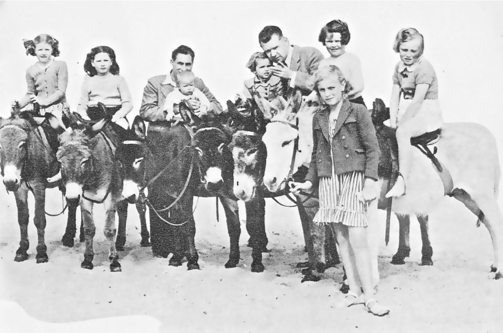 donkey rides II on Weymouth beach