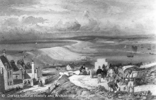 view from Portland CCO DCM