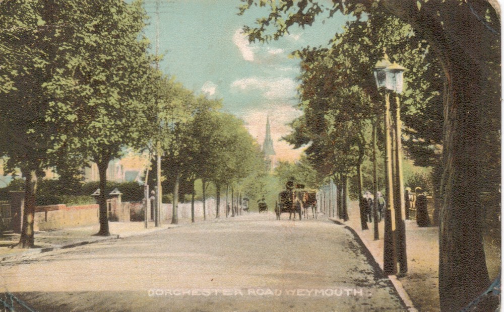 avenue trees dorchester road