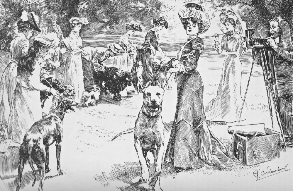LONDON MAGAZINE 11 1904 DOG SHOW