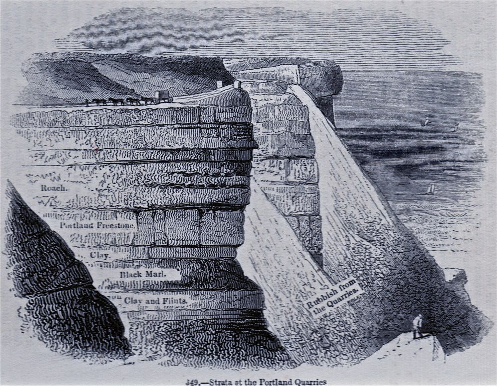 rock strata portland