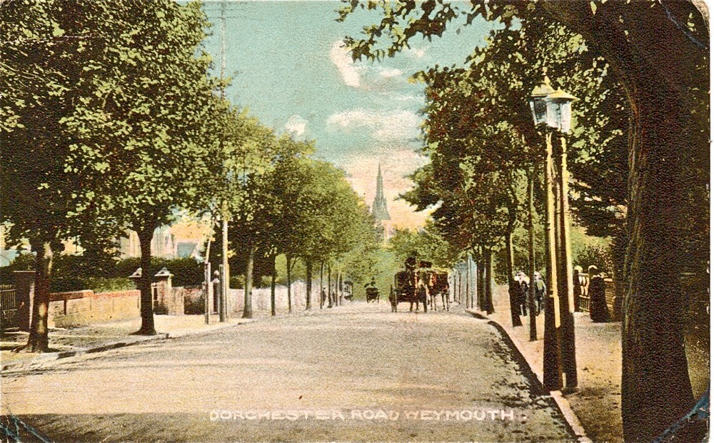 avenue trees dorchester road